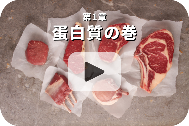 タンパク質の巻《栄養五輪ノ書》