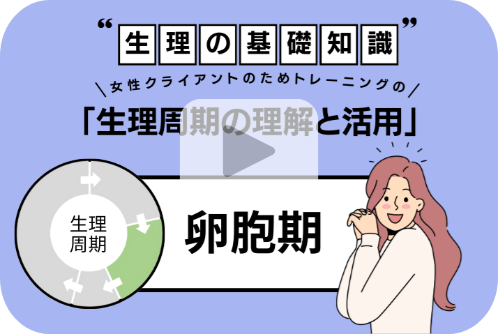 知ってほしい！「女性の生理の基礎知識」（卵胞期）