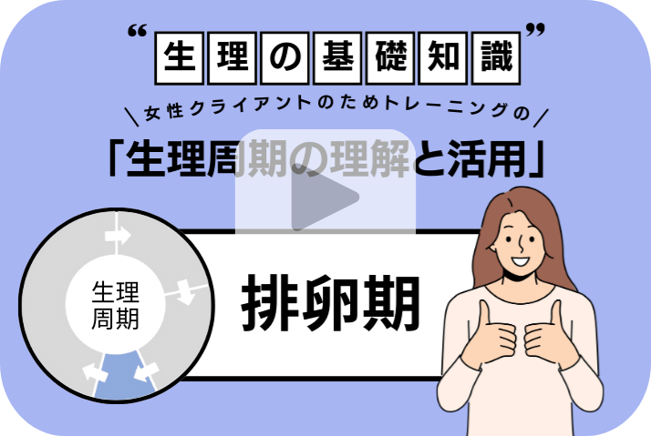 知ってほしい！「女性の生理の基礎知識」（排卵期）
