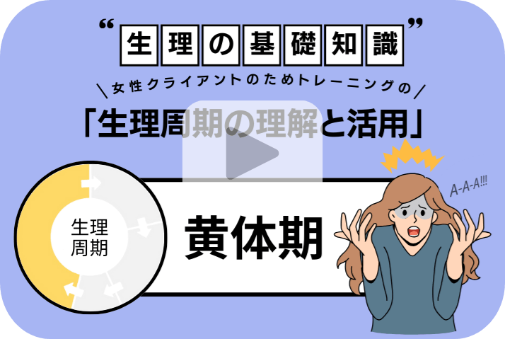 知ってほしい！「女性の生理の基礎知識」（黄体期）