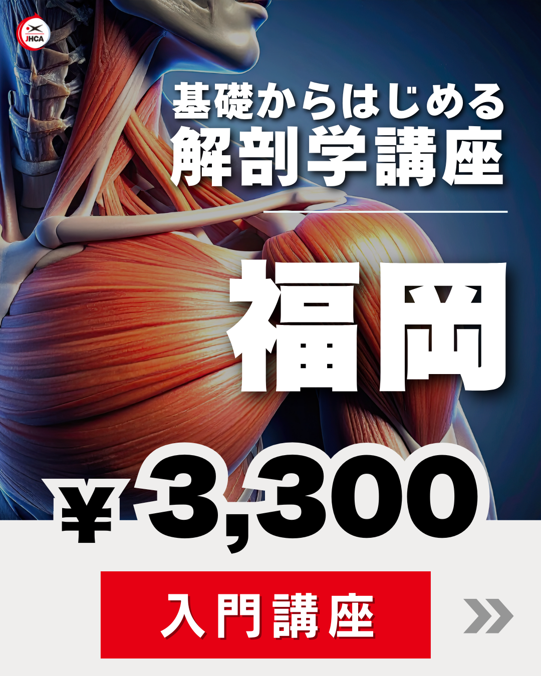 【福岡】基礎からはじめる「解剖学」講座