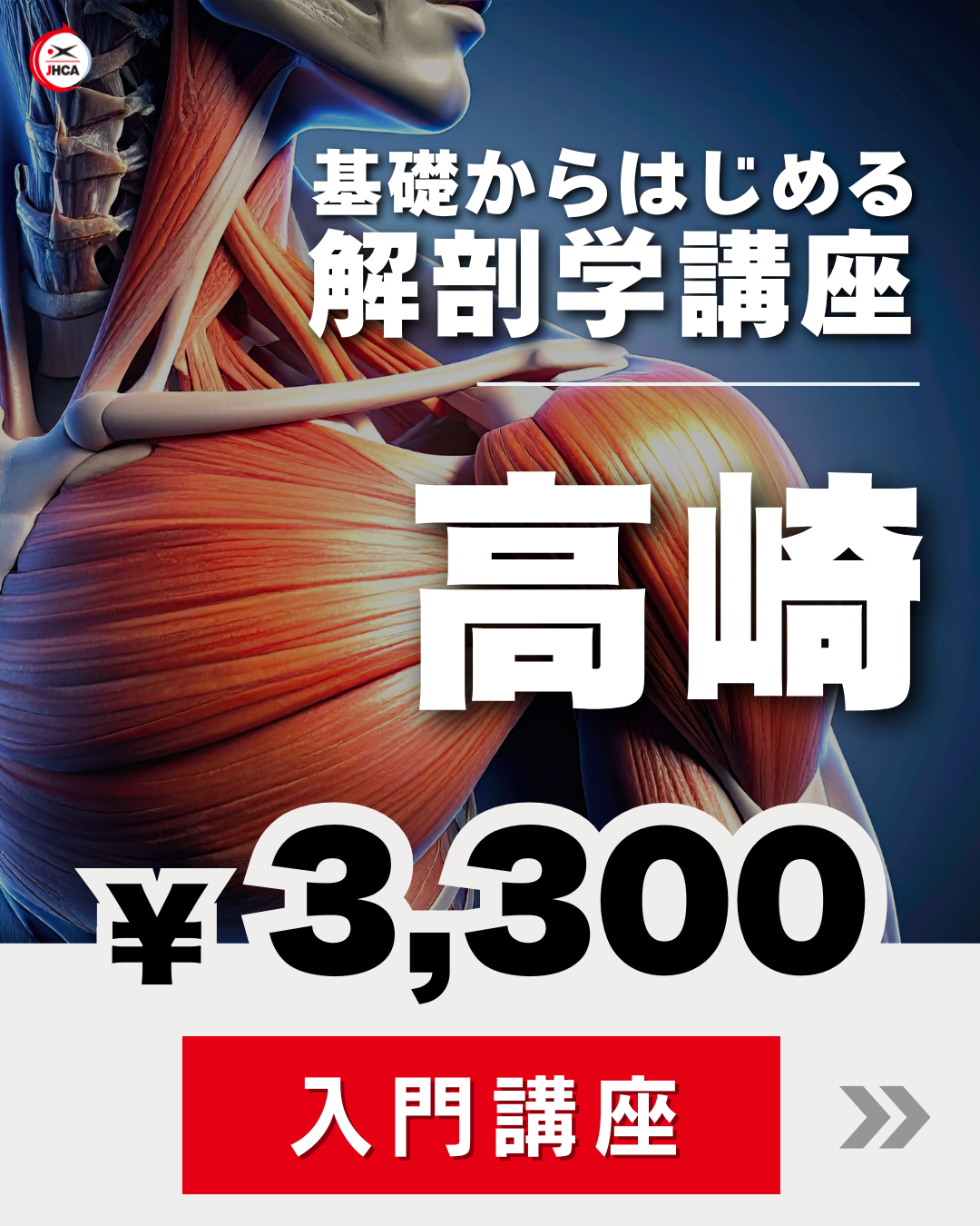 【高崎】基礎からはじめる「解剖学」講座