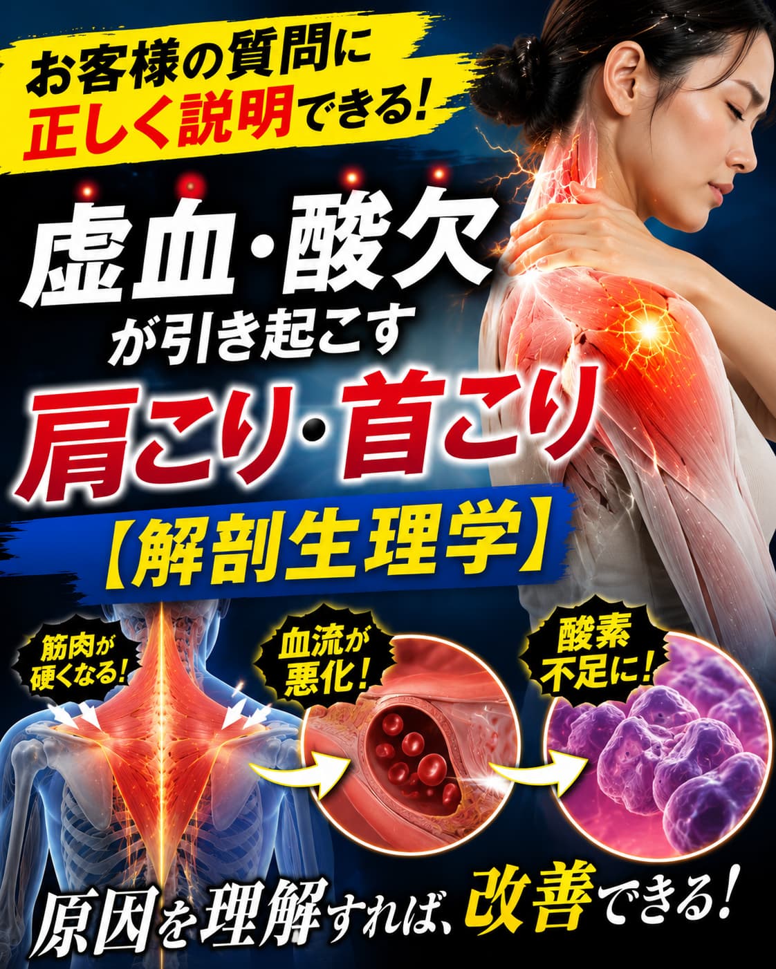 【動画セミナー】虚血・酸欠が引き起こす肩こり・首こりについて【解剖生理学】