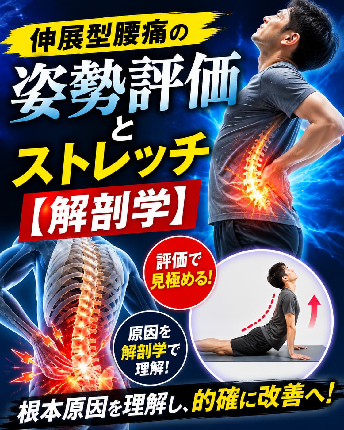 【動画セミナー】伸展型腰痛の姿勢評価とストレッチ【解剖学】