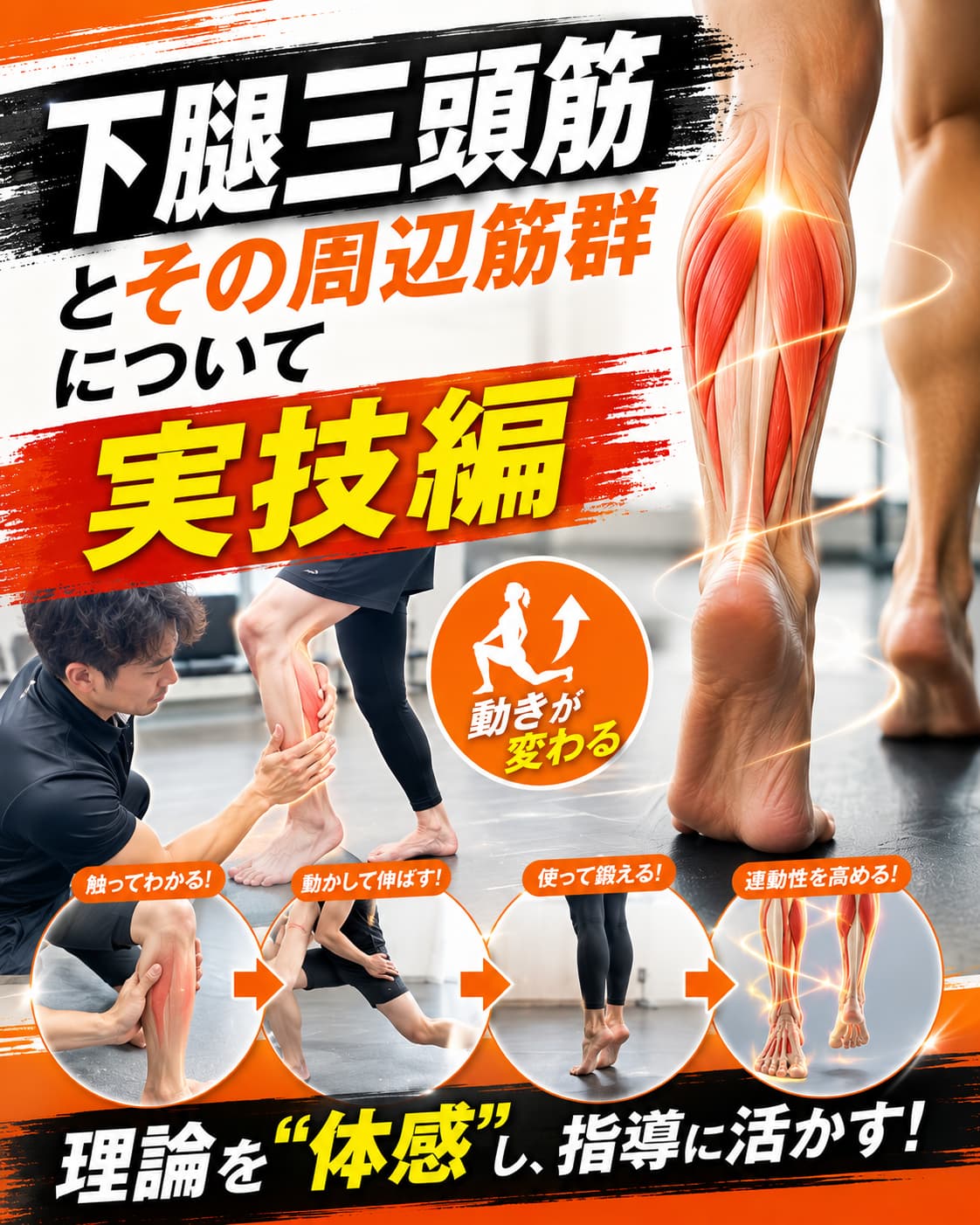 【動画セミナー】下腿三頭筋とその周辺筋群について【実技編】