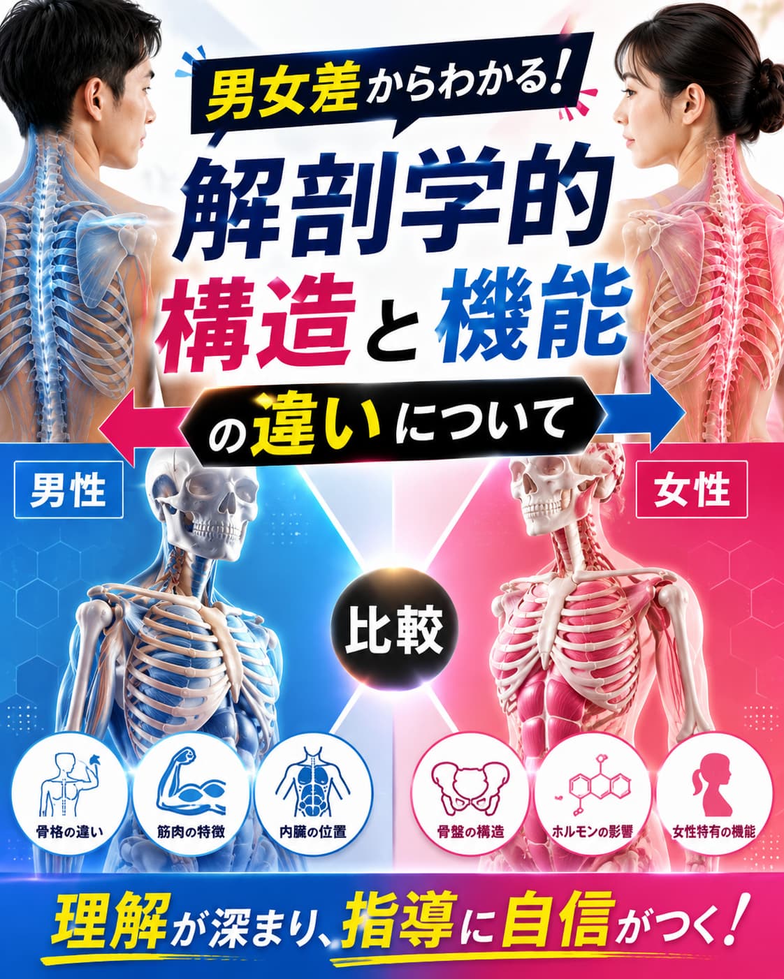 【動画セミナー】男女差からわかる解剖学的構造と機能の違いについて