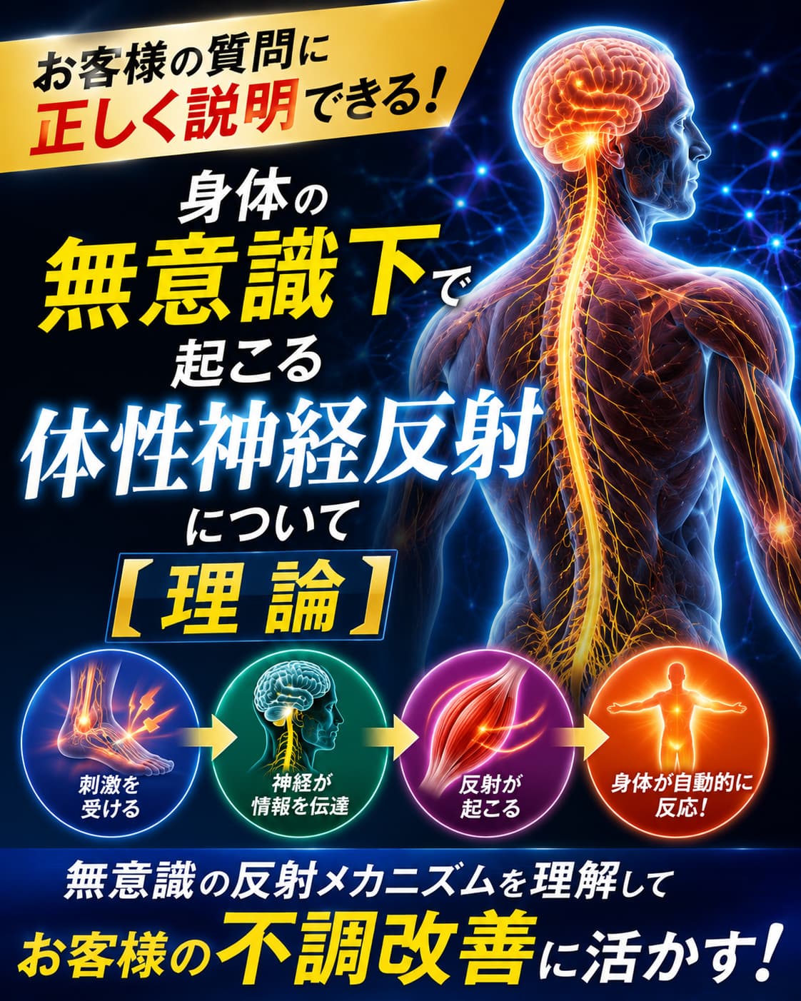 【動画セミナー】身体の無意識下で起こる体性神経反射について【理論】