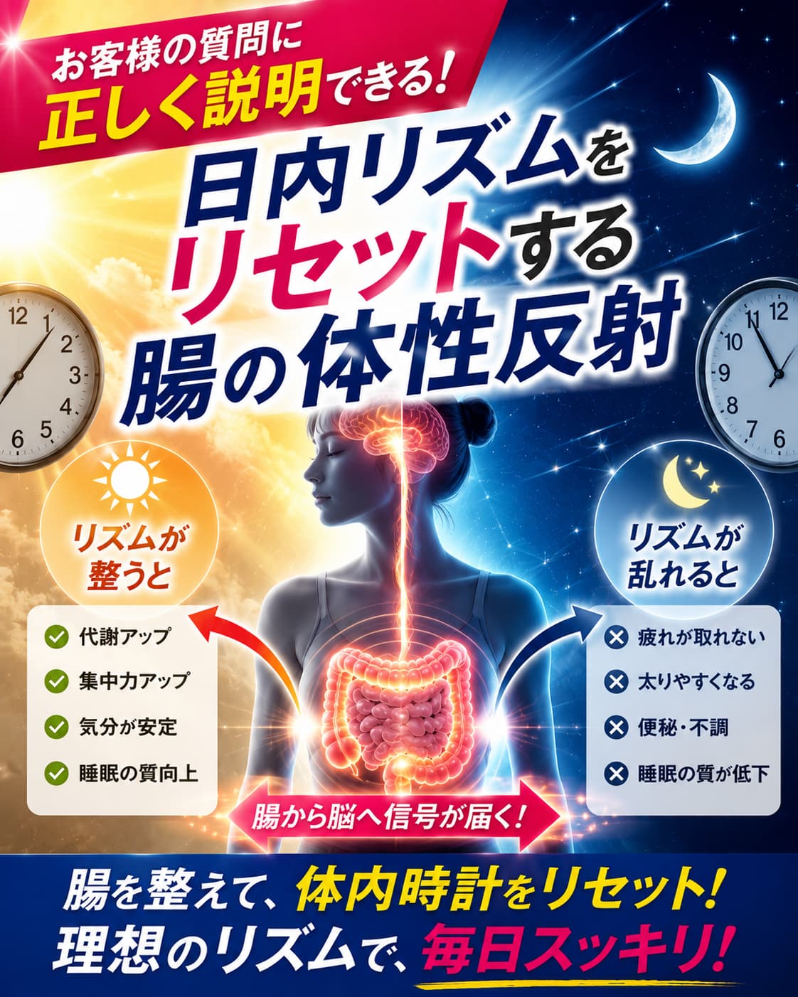 【動画セミナー】日内リズムをリセットする腸の体性反射