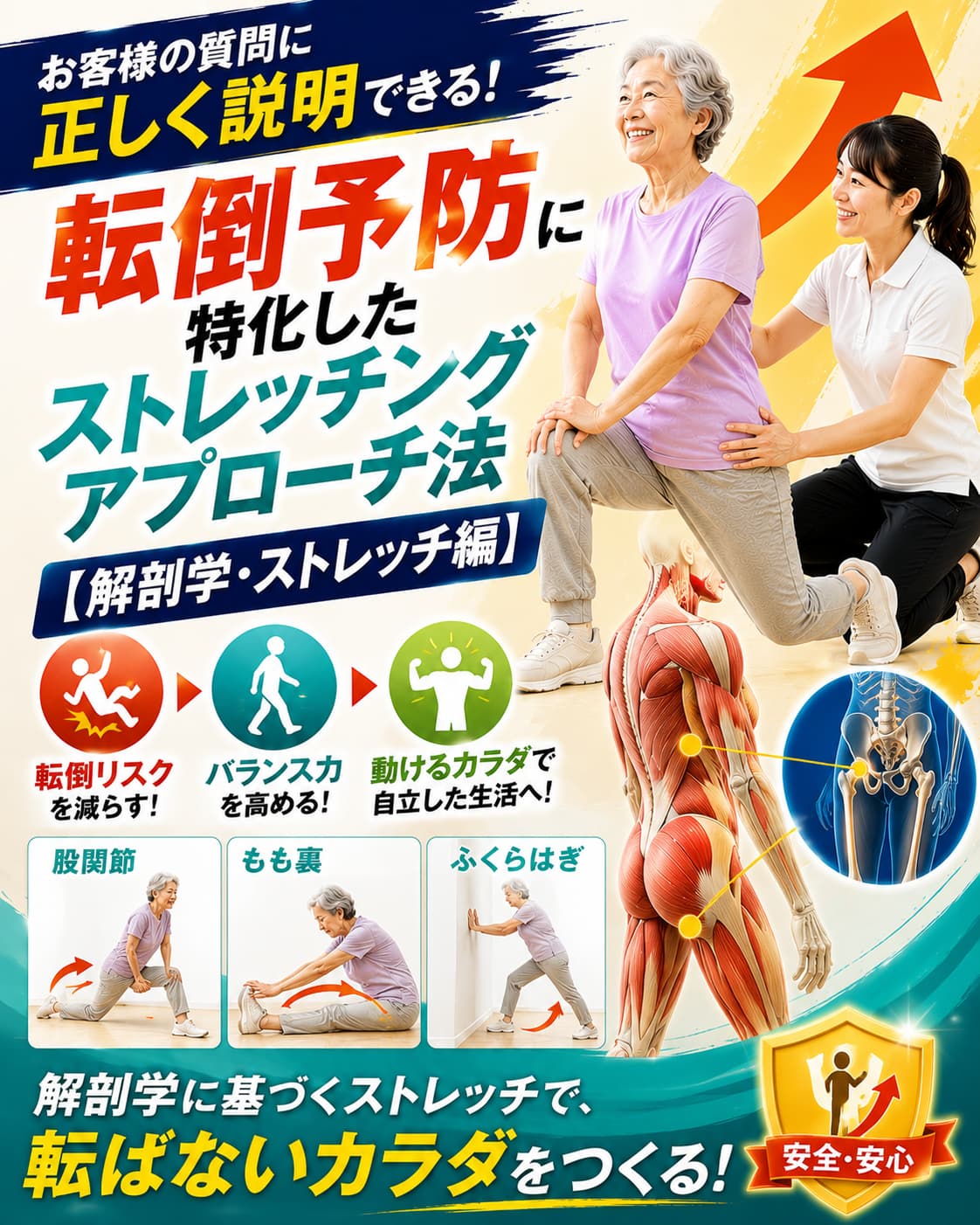 【動画セミナー】転倒予防に特化したストレッチングアプローチ法【解剖学・ストレッチ編】