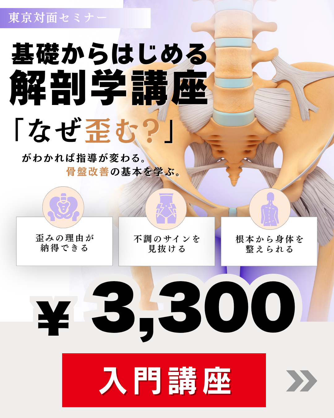 【東京】基礎からはじめる「解剖学」講座