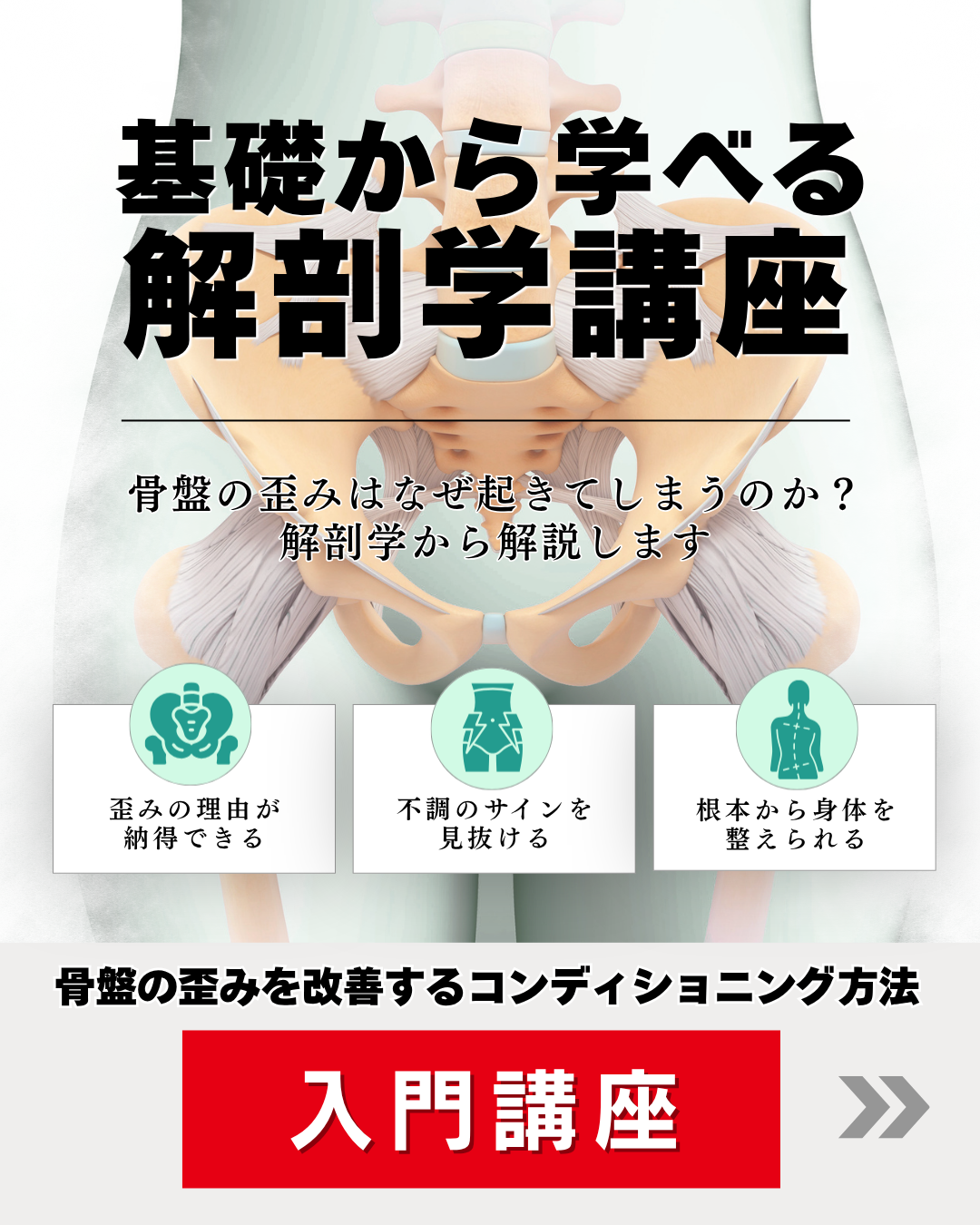 【東京】基礎からはじめる「解剖学」講座